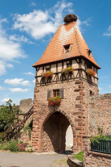 Aux 67 Nuances - Spa Châtenois エクステリア 写真